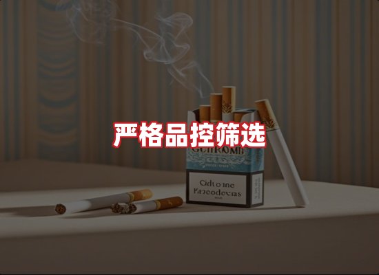 专业团队